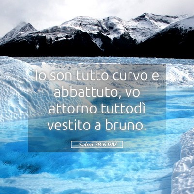 Picture 05 - Salmi 38:6 RIV - Io son tutto curvo e abbattuto, vo attorno - Bible Verse Picture