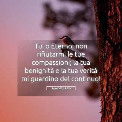 Picture 05 - Salmi 40:11 RIV - Tu, o Eterno, non rifiutarmi le tue compassioni; - Bible Verse Picture