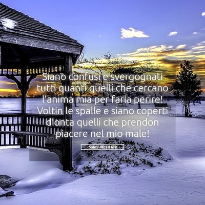 Picture 05 - Salmi 40:14 RIV - Siano confusi e svergognati tutti quanti quelli - Bible Verse Picture