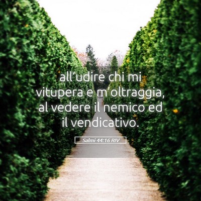 Picture 05 - Salmi 44:16 RIV - all’udire chi mi vitupera e m’oltraggia, al - Bible Verse Picture