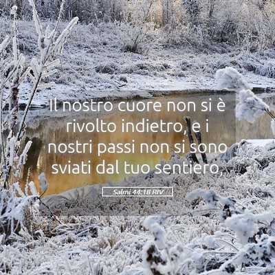 Picture 05 - Salmi 44:18 RIV - Il nostro cuore non si è rivolto indietro, e i - Bible Verse Picture