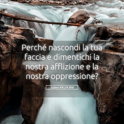 Picture 05 - Salmi 44:24 RIV - Perché nascondi la tua faccia e dimentichi la - Bible Verse Picture