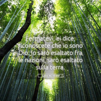 Picture 05 - Salmi 46:10 RIV - Fermatevi, ei dice, riconoscete che io sono Dio. - Bible Verse Picture
