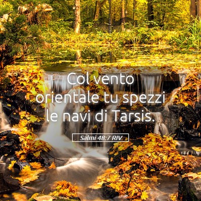 Picture 05 - Salmi 48:7 RIV - Col vento orientale tu spezzi le navi di - Bible Verse Picture
