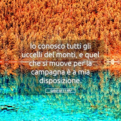 Picture 05 - Salmi 50:11 RIV - Io conosco tutti gli uccelli del monti, e quel - Bible Verse Picture