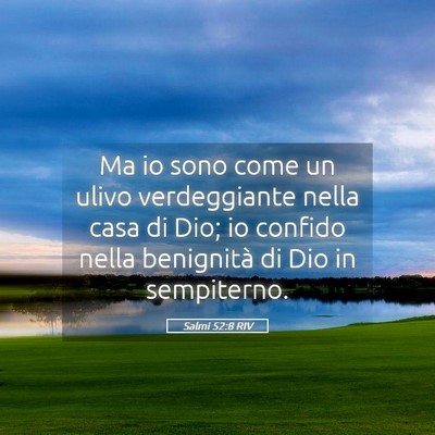 Picture 05 - Salmi 52:8 RIV - Ma io sono come un ulivo verdeggiante nella casa - Bible Verse Picture