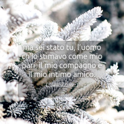 Picture 05 - Salmi 55:13 RIV - ma sei stato tu, l’uomo ch’io stimavo come - Bible Verse Picture