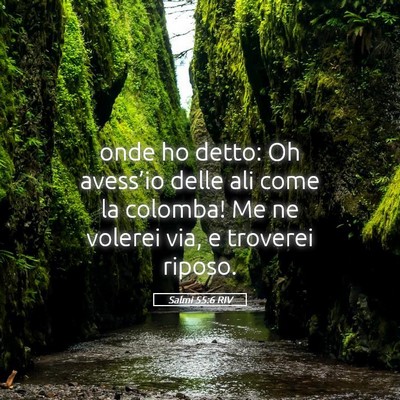 Picture 05 - Salmi 55:6 RIV - onde ho detto: Oh avess’io delle ali come la - Bible Verse Picture