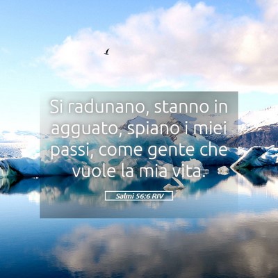 Picture 05 - Salmi 56:6 RIV - Si radunano, stanno in agguato, spiano i miei - Bible Verse Picture
