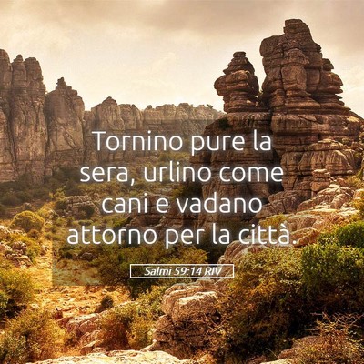 Picture 05 - Salmi 59:14 RIV - Tornino pure la sera, urlino come cani e vadano - Bible Verse Picture