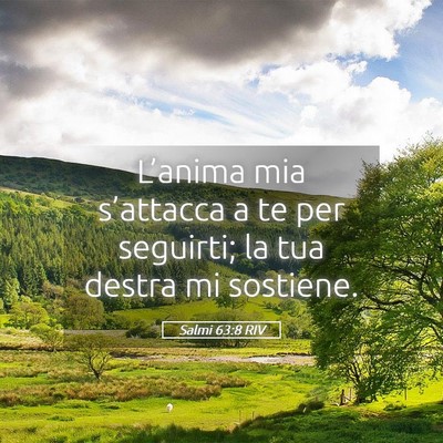 Picture 05 - Salmi 63:8 RIV - L’anima mia s’attacca a te per seguirti; la - Bible Verse Picture