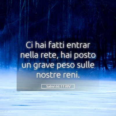 Picture 05 - Salmi 66:11 RIV - Ci hai fatti entrar nella rete, hai posto un - Bible Verse Picture