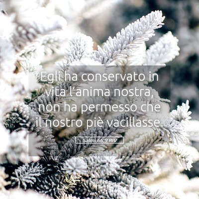 Picture 05 - Salmi 66:9 RIV - Egli ha conservato in vita l’anima nostra, non - Bible Verse Picture