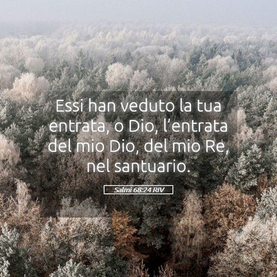 Picture 05 - Salmi 68:24 RIV - Essi han veduto la tua entrata, o Dio, - Bible Verse Picture