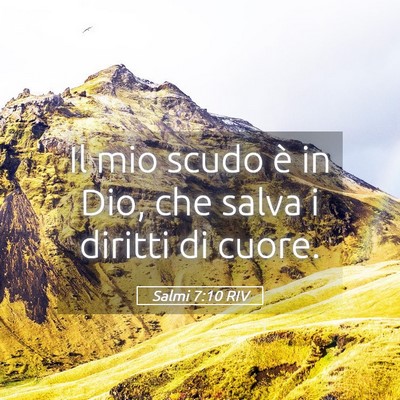 Picture 05 - Salmi 7:10 RIV - Il mio scudo è in Dio, che salva i diritti di - Bible Verse Picture