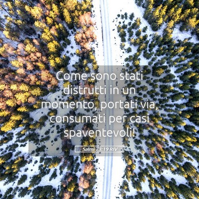 Picture 05 - Salmi 73:19 RIV - Come sono stati distrutti in un momento, portati - Bible Verse Picture