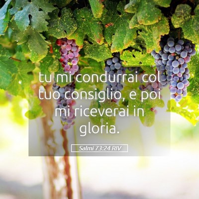 Picture 05 - Salmi 73:24 RIV - tu mi condurrai col tuo consiglio, e poi mi - Bible Verse Picture