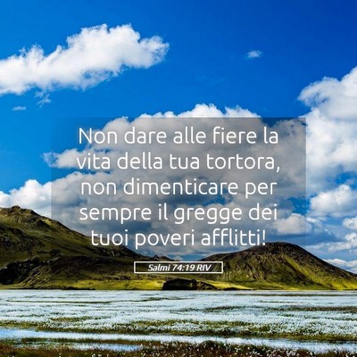 Picture 05 - Salmi 74:19 RIV - Non dare alle fiere la vita della tua tortora, - Bible Verse Picture