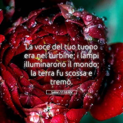 Picture 05 - Salmi 77:18 RIV - La voce del tuo tuono era nel turbine; i lampi - Bible Verse Picture