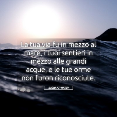 Picture 05 - Salmi 77:19 RIV - La tua via fu in mezzo al mare, i tuoi sentieri - Bible Verse Picture