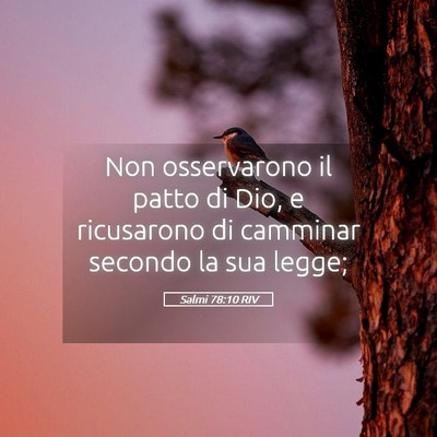 Picture 05 - Salmi 78:10 RIV - Non osservarono il patto di Dio, e ricusarono di - Bible Verse Picture