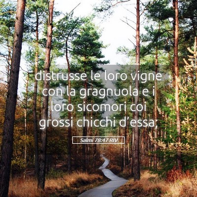 Picture 05 - Salmi 78:47 RIV - distrusse le loro vigne con la gragnuola e i loro - Bible Verse Picture