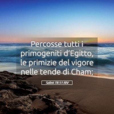 Picture 05 - Salmi 78:51 RIV - Percosse tutti i primogeniti d’Egitto, le - Bible Verse Picture