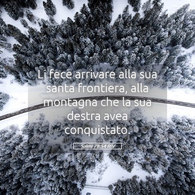 Picture 05 - Salmi 78:54 RIV - Li fece arrivare alla sua santa frontiera, alla - Bible Verse Picture