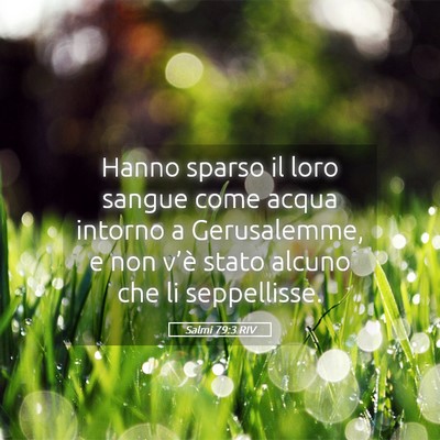 Picture 05 - Salmi 79:3 RIV - Hanno sparso il loro sangue come acqua intorno a - Bible Verse Picture