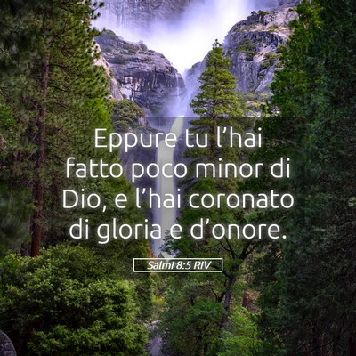 Picture 05 - Salmi 8:5 RIV - Eppure tu l’hai fatto poco minor di Dio, e - Bible Verse Picture