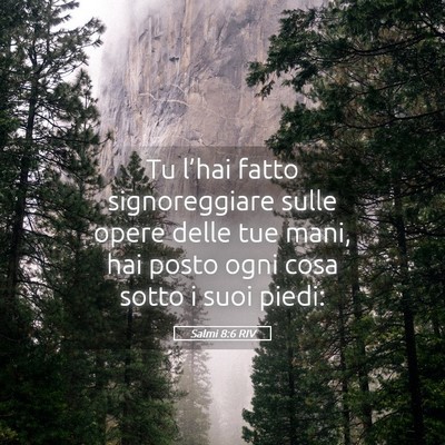 Picture 05 - Salmi 8:6 RIV - Tu l’hai fatto signoreggiare sulle opere delle - Bible Verse Picture