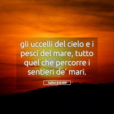 Picture 05 - Salmi 8:8 RIV - gli uccelli del cielo e i pesci del mare, tutto - Bible Verse Picture