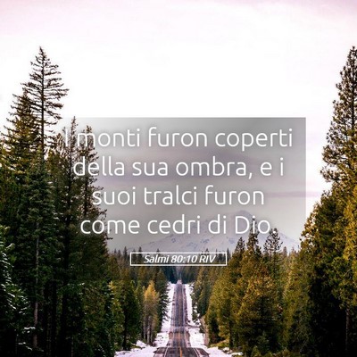 Picture 05 - Salmi 80:10 RIV - I monti furon coperti della sua ombra, e i suoi - Bible Verse Picture