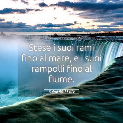 Picture 05 - Salmi 80:11 RIV - Stese i suoi rami fino al mare, e i suoi rampolli - Bible Verse Picture