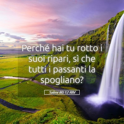 Picture 05 - Salmi 80:12 RIV - Perché hai tu rotto i suoi ripari, sì che tutti - Bible Verse Picture