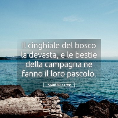 Picture 05 - Salmi 80:13 RIV - Il cinghiale del bosco la devasta, e le bestie - Bible Verse Picture
