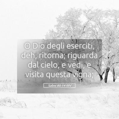 Picture 05 - Salmi 80:14 RIV - O Dio degli eserciti, deh, ritorna; riguarda dal - Bible Verse Picture