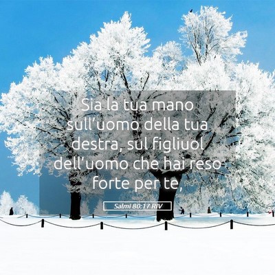 Picture 05 - Salmi 80:17 RIV - Sia la tua mano sull’uomo della tua destra, sul - Bible Verse Picture