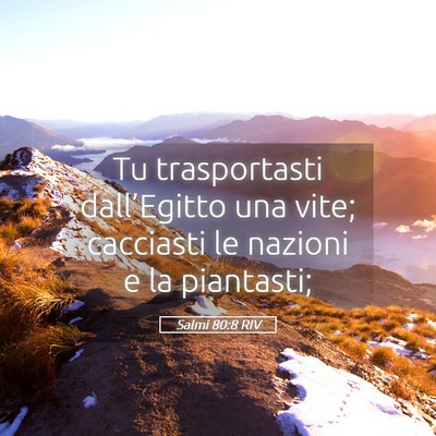 Picture 05 - Salmi 80:8 RIV - Tu trasportasti dall’Egitto una vite; cacciasti - Bible Verse Picture