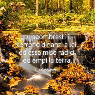 Picture 05 - Salmi 80:9 RIV - tu sgombrasti il terreno dinanzi a lei, ed essa - Bible Verse Picture