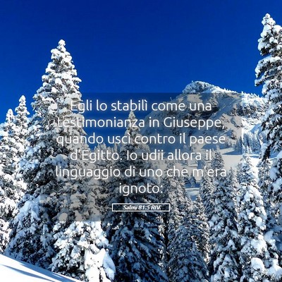 Picture 05 - Salmi 81:5 RIV - Egli lo stabilì come una testimonianza in - Bible Verse Picture