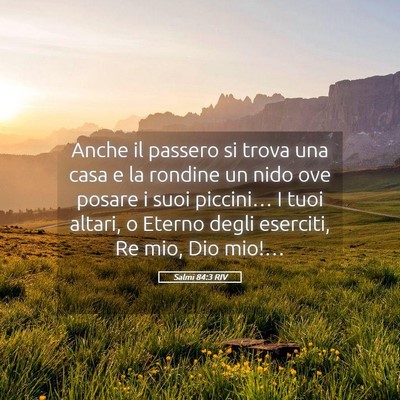 Picture 05 - Salmi 84:3 RIV - Anche il passero si trova una casa e la rondine - Bible Verse Picture
