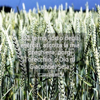 Picture 05 - Salmi 84:8 RIV - O Eterno, Iddio degli eserciti, ascolta la mia - Bible Verse Picture