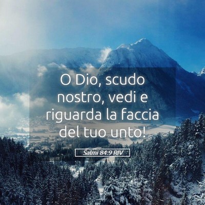 Picture 05 - Salmi 84:9 RIV - O Dio, scudo nostro, vedi e riguarda la faccia - Bible Verse Picture