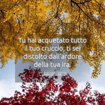 Picture 05 - Salmi 85:3 RIV - Tu hai acquetato tutto il tuo cruccio, ti sei - Bible Verse Picture