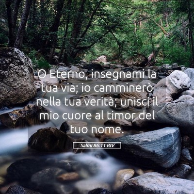 Picture 05 - Salmi 86:11 RIV - O Eterno, insegnami la tua via; io camminerò - Bible Verse Picture