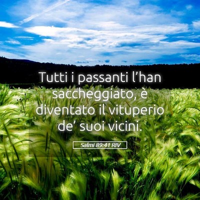 Picture 05 - Salmi 89:41 RIV - Tutti i passanti l’han saccheggiato, è - Bible Verse Picture