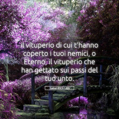 Picture 05 - Salmi 89:51 RIV - il vituperio di cui t’hanno coperto i tuoi - Bible Verse Picture