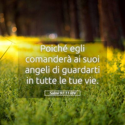 Picture 05 - Salmi 91:11 RIV - Poiché egli comanderà ai suoi angeli di - Bible Verse Picture