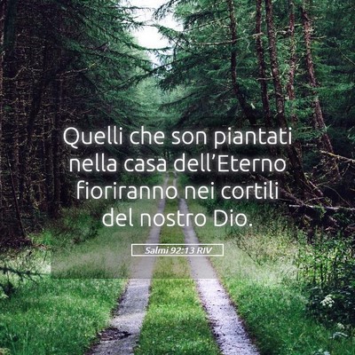 Picture 05 - Salmi 92:13 RIV - Quelli che son piantati nella casa dell’Eterno - Bible Verse Picture